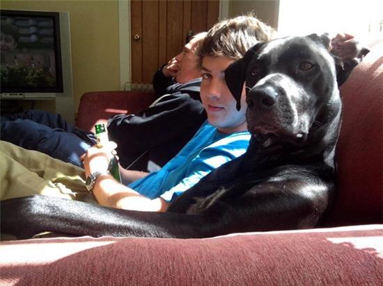 Những hình ảnh hài hước trong cuộc sống