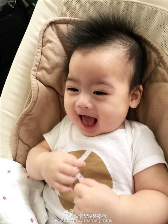 Ngam anh hai quy tu song sinh nha Lam Chi Dinh hinh anh 2