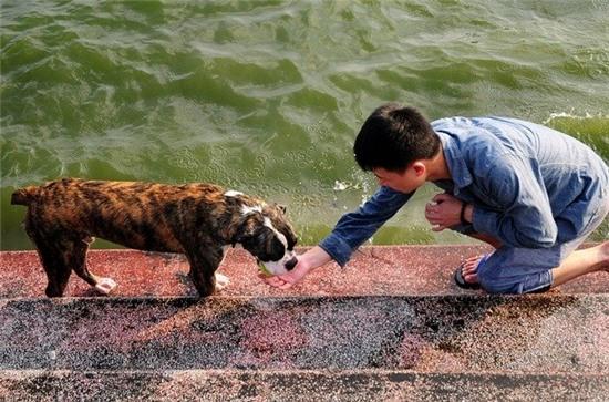 nang nong cuc dinh, nguoi hn dua cho cung ra ho tay tam cung hinh anh 7