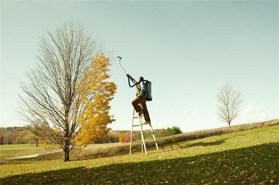 17. Dùng máy hút bụi để hút sạch lá vàng trên cây? Thật không thể tin nổi.