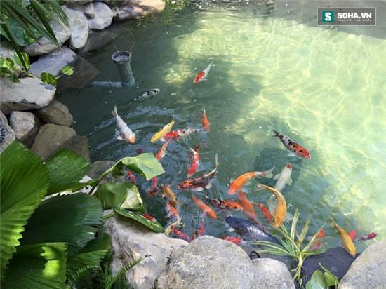 Cuộc sống như mơ của Cao Thái Sơn trong biệt thự 300 mét vuông - Ảnh 6.