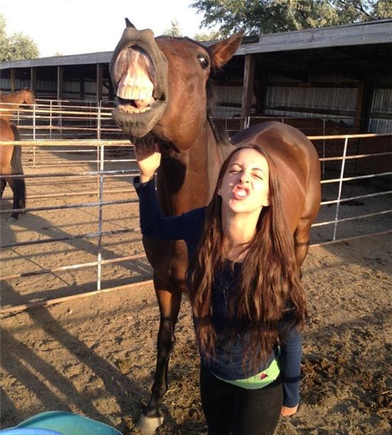 nga ngua voi nhung hinh anh "khong the do noi" hinh anh 12