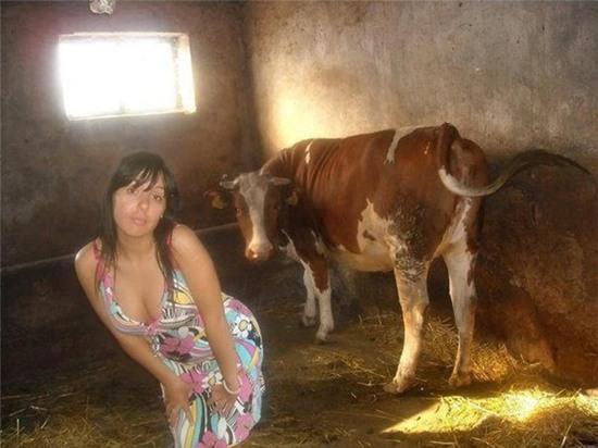 nga ngua voi nhung hinh anh "khong the do noi" hinh anh 15