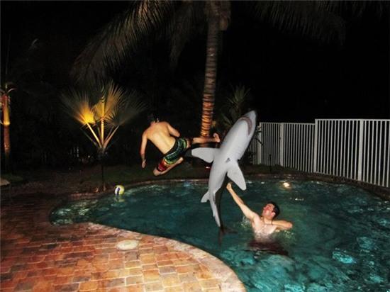 nga ngua voi nhung hinh anh "khong the do noi" hinh anh 8