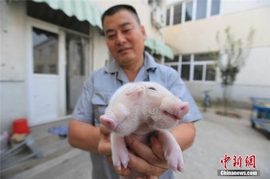 lon hai dau ba mat chao doi o tq hinh anh 2