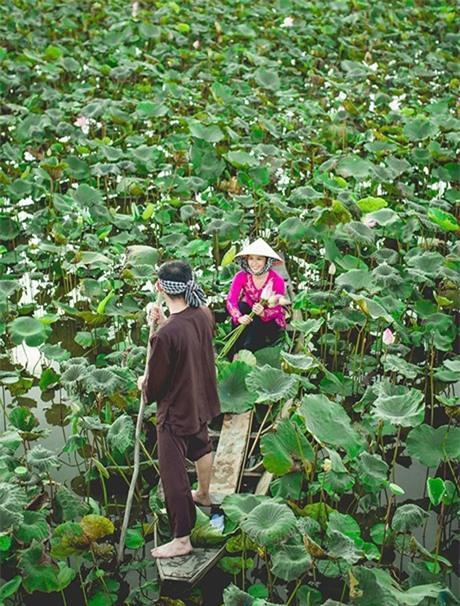 Nức lòng trước bộ ảnh cưới của các cặp đôi nước ngoài ở Việt Nam