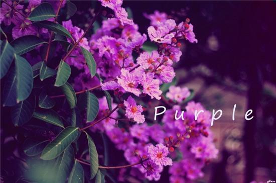 Hạ - mùa của nỗi nhớ