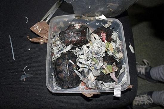 Hồn bay phách lạc với hành lý khủng trong vali của người phụ nữ - Ảnh 1.