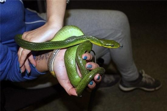 Hồn bay phách lạc với hành lý khủng trong vali của người phụ nữ - Ảnh 2.