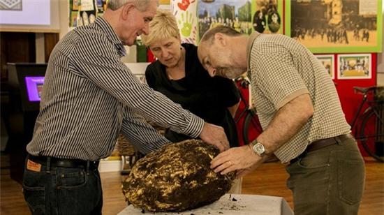 bo-2000-nam-tuoi-van-an-duoc