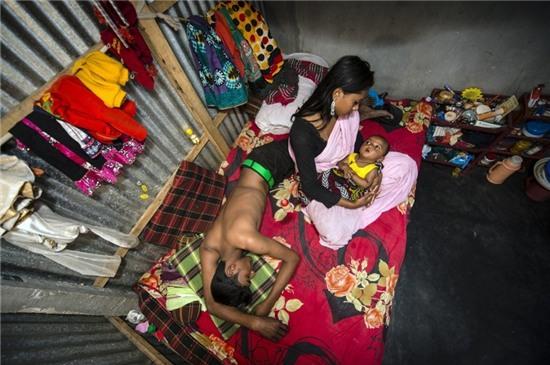 Canh doi va vat trong khu mai dam o quoc gia Hoi giao hinh anh 10