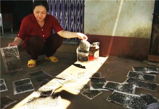 dan khon kho vi ruoi... tan cong hinh anh 1