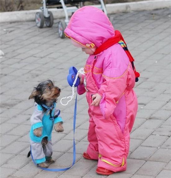 cuoi rung ron voi nhung hinh anh "doc nhat vo nhi" hinh anh 5