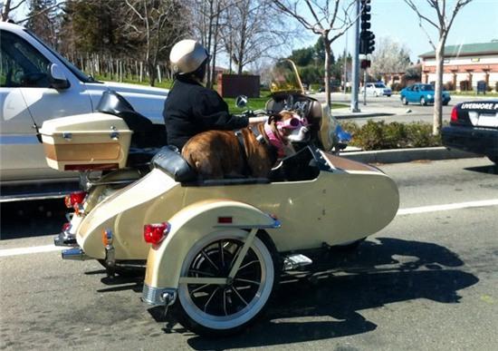 cuoi rung ron voi nhung hinh anh "doc nhat vo nhi" hinh anh 6