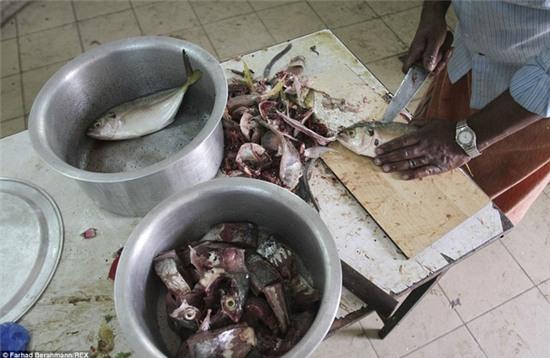 Góc khuất trần trụi của người lao động nghèo đằng sau ánh hào quang của Dubai - Ảnh 10.