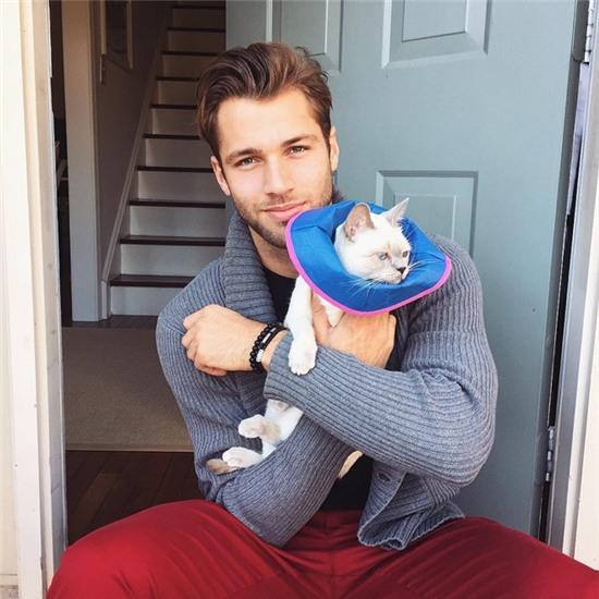 Trao luu trai dep tao dang ben meo noi tieng mang hinh anh 11