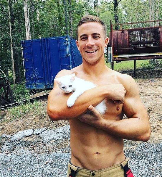 Trao luu trai dep tao dang ben meo noi tieng mang hinh anh 2