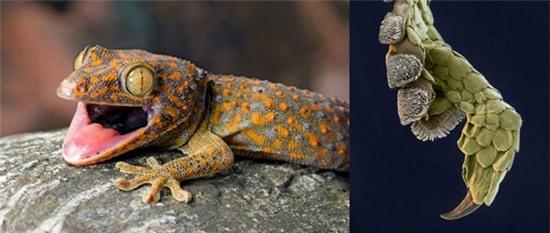 vat-duoc-nhin-duoi-cinh-hien-vi