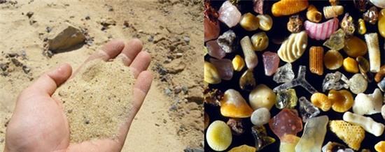 vat-duoc-nhin-duoi-cinh-hien-vi