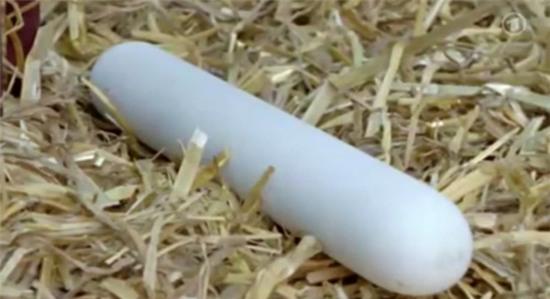 su-that-dang-sau-mon-trung-ga-dai-30cm