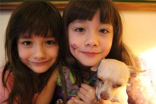 Hai chị em sinh đôi Mỹ lai Hàn nổi tiếng một thời giờ ra sao? - Ảnh 7.