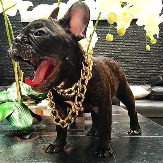 Cuộc sống sang chảnh của vợ thiếu gia giàu nhất Indonesia sẽ khiến bạn... muốn xỉu vì quá xa hoa - Ảnh 16.