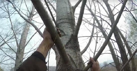 nguoi-khong-mat-cung-ban-khong-tay-trong-ca-khu-rung