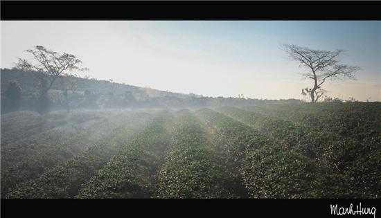 Cuoc song khong voi giua nui rung Tay Nguyen hinh anh 3