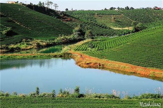 Cuoc song khong voi giua nui rung Tay Nguyen hinh anh 4