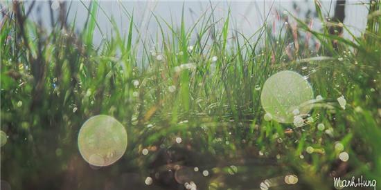 Cuoc song khong voi giua nui rung Tay Nguyen hinh anh 11