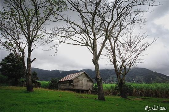 Cuoc song khong voi giua nui rung Tay Nguyen hinh anh 12