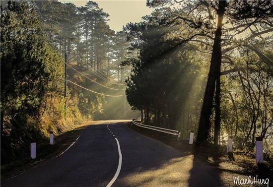 Cuoc song khong voi giua nui rung Tay Nguyen hinh anh 9