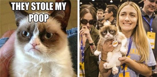 10 hien tuong anh che noi tieng the gioi ngay ay - bay gio hinh anh 4