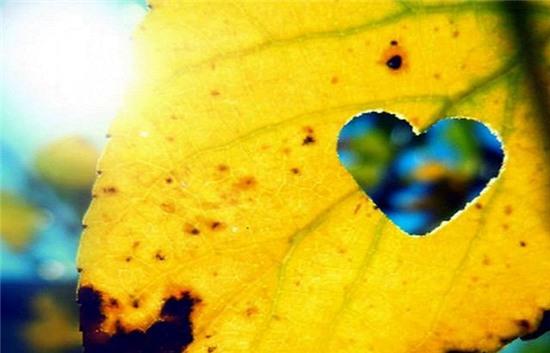 Mùa yêu cũ qua rồi