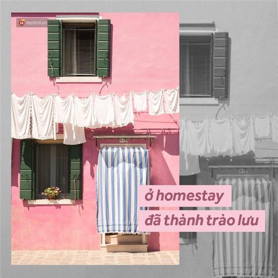 Đi du lịch bây giờ, người ta chỉ toàn thế này thôi này! - Ảnh 5.