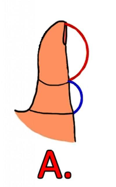 bi-mat-doi-song-tinh-cam-cua-ban-qua-do-dai-ngon-tay-cai