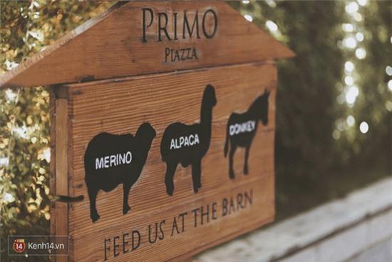 Không ngờ ở Thái Lan lại có một nước Ý thu nhỏ xinh đẹp đến thế này - Ảnh 14.