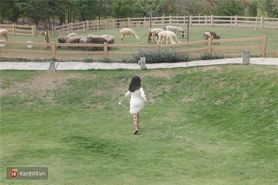 Không ngờ ở Thái Lan lại có một nước Ý thu nhỏ xinh đẹp đến thế này - Ảnh 20.