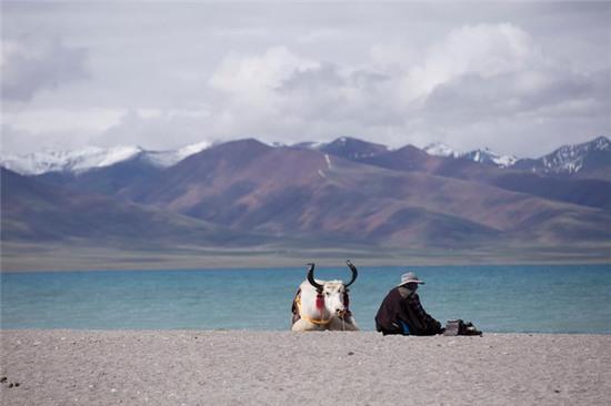 Có 1 Tây Tạng đẹp đến nghẹt thở qua ống kính của nhiếp ảnh gia Việt! - Ảnh 13.