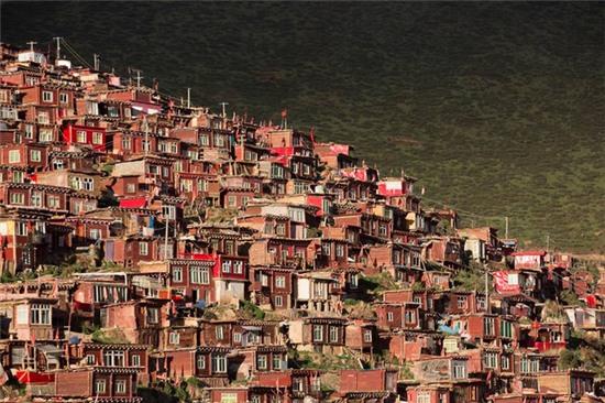 Có 1 Tây Tạng đẹp đến nghẹt thở qua ống kính của nhiếp ảnh gia Việt! - Ảnh 3.