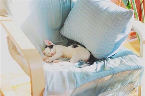 Thêm một căn nhà cực xinh xắn chứng minh Đà Lạt đúng là thiên đường homestay! - Ảnh 22.