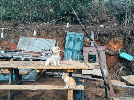 Thêm một căn nhà cực xinh xắn chứng minh Đà Lạt đúng là thiên đường homestay! - Ảnh 24.