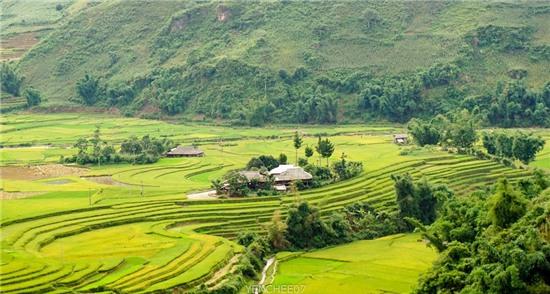 Ngay he tren mien son cuoc Mu Cang Chai hinh anh 11