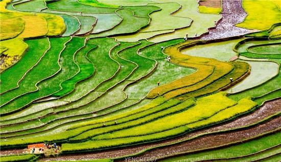 Ngay he tren mien son cuoc Mu Cang Chai hinh anh 2