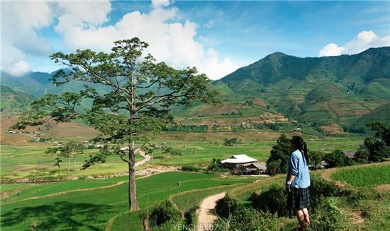 Ngay he tren mien son cuoc Mu Cang Chai hinh anh 5