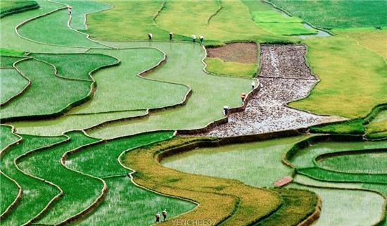 Ngay he tren mien son cuoc Mu Cang Chai hinh anh 6