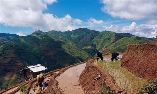 Ngay he tren mien son cuoc Mu Cang Chai hinh anh 7