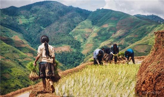 Ngay he tren mien son cuoc Mu Cang Chai hinh anh 8