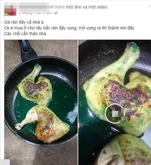 gà rán, màu xanh, Sơn la, hiện tượng lạ