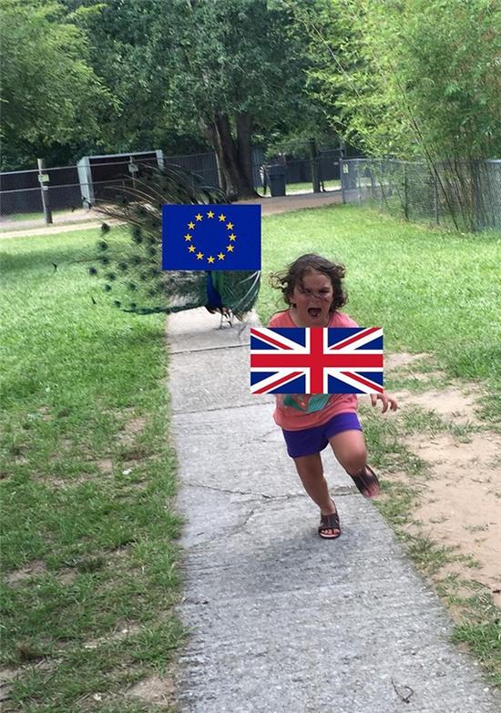  Brexit? 